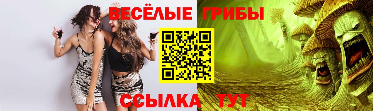Галлюциногенные грибы Psilocybine cubensis Грязи
