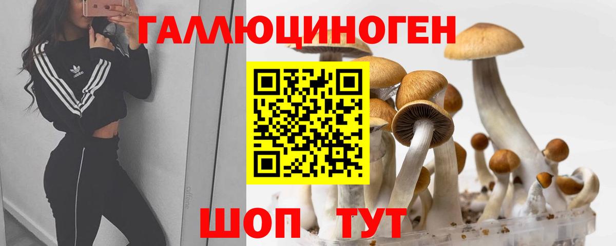 Псилоцибиновые грибы прущие грибы  Вход с VPN  Грязи 